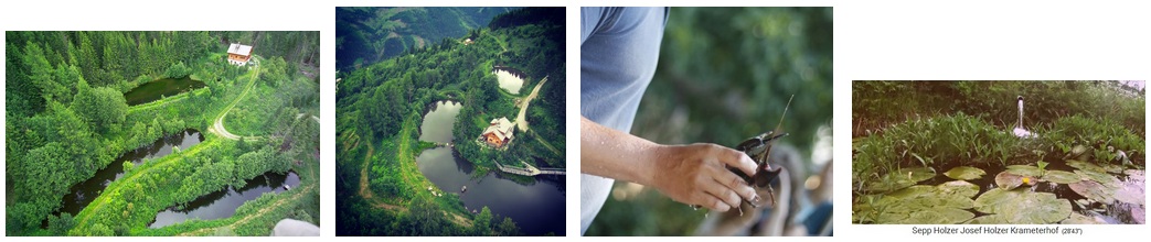 Die Teichsysteme von
                    Sepp Holzer auf dem Krameterhof in �sterreich