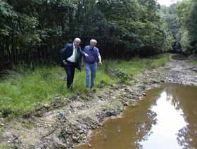 Amphibienbiotop im wald im
                                        Rohbau