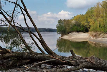 Donau-Arm
            "Grosse Binn"