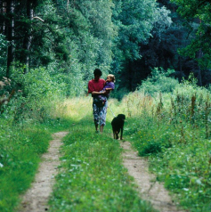 Waldweg mit
                    Gr�n heisst auch individueller Wasserabfluss durch
                    die Erde und Pf�tzenbildung f�r Insekten und
                    Schmetterlinge
