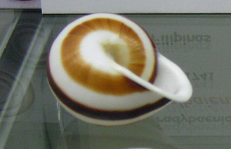 Calocochlia albaiensis, Nahaufnahme