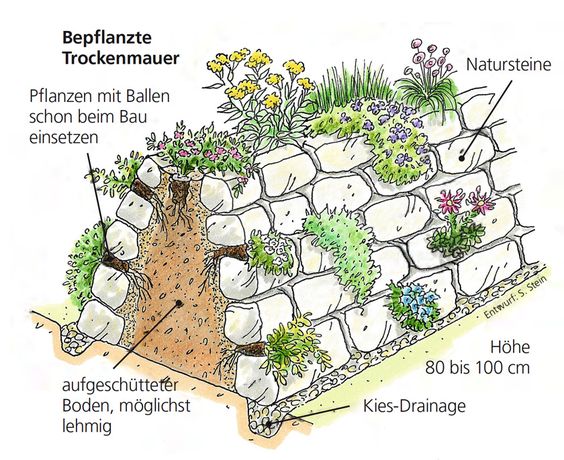 Trockenmauer solo freistehend in sich geneigt
                    mit Erdkern und Kies-Drainage, Querschnitt