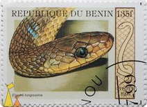 Culebra de Esculapio (Zamenis longissimus, Syn.:
              Elaphe longissima) en un sello / en una estampilla