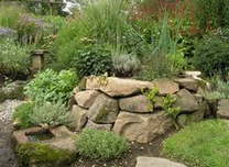 Dry stone wall in a wild garden