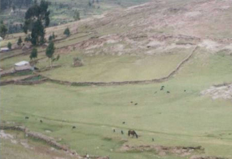 Granja
                                  con pasto con caballo y muros secos en
                                  todas las direcciones con todos los
                                  microclimas - Millpo, regi�n de
                                  Ayacucho, Per�
