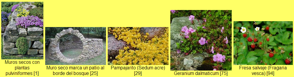 Muro seco
                                  (muro de piedra seca) 01 - datos y
                                  plantas