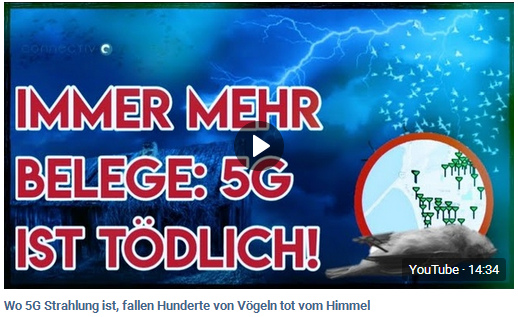 Filmtitel: Immer mehr Belege: 5G ist t�dlich
                - Massenmord an V�geln, wo 5G installiert und ausgebaut
                wurde