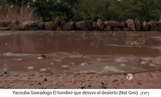 Steinreihen gegen
                                schnellen Wasserabfluss 02