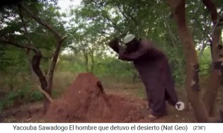 Yacouba Sadabogo hackt einen Termitenh�gel