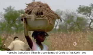 Volle Ernteschale mit Hirsedolden 02