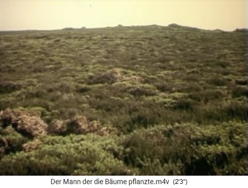 Heideland ohne Wald in den
                      S�dalpen, S�dfrankreich