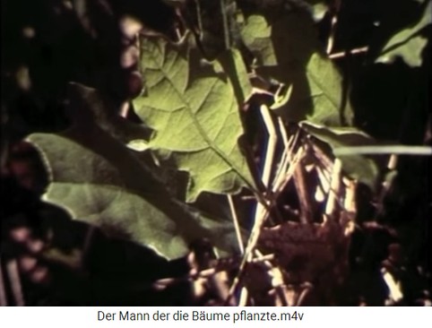 Kleiner
                    Eichenspross 01