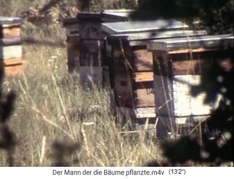 Bienenst�cke 01