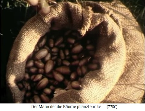 Eicheln im
                      Jutebeutel