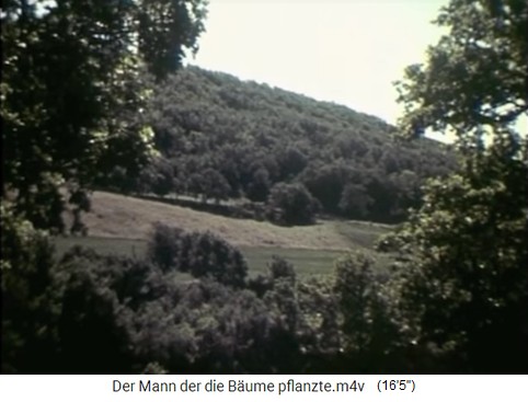 Weide mit bewaldetem H�gel in den S�dalpen
                    01