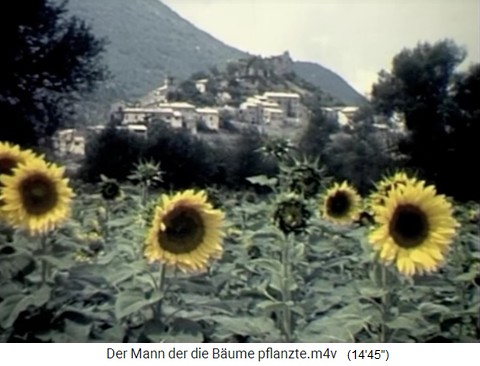 Ein Sonnenblumenfeld
                    in den S�dalpen mit einem Dorf im Hintergrund