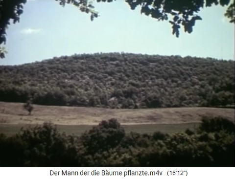 Weide mit bewaldetem H�gel in den S�dalpen
                    02