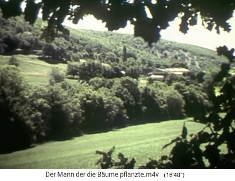 Weide mit bewaldetem H�gel in den S�dalpen
                    03