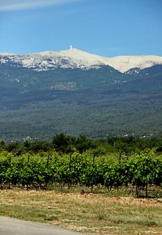Mont Ventoux, karst y
                                    bosques, 1909m sobre el nivel del
                                    mar