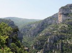 El barranco arbolado del r�o
                  Nesque cerca del Monte Ventoux