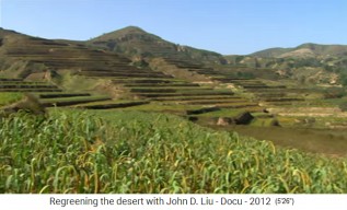 China: Das
                      regenerierte L�ssplateau mit bepflanzten
                      Terrassen