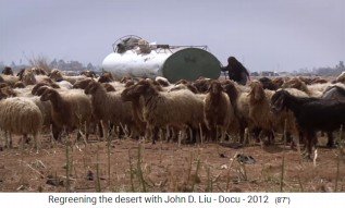 Jordanien, eine
                      Schafherde bekommt Wasser aus einem Wassertank