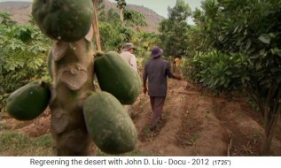 �thiopien, das Dorf
                      Abraha Atsebaha mit Papayas und B�umen