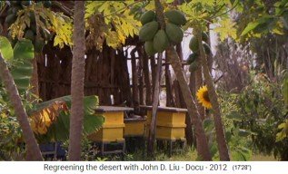 �thiopien, das Dorf Abraha Atsebaha mit
                      Papayas, Sonnenblumen und Bienenst�cken