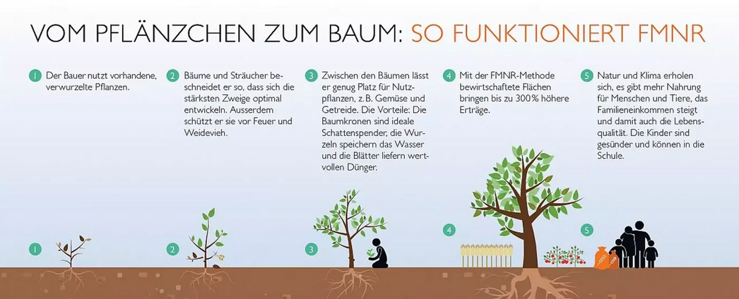 Steppe in Afrika 23.10.2022: Pionier Tony
Rinaudo: Sträucher sind verkümmerte Bäume - muss man
nur richtig pflegen und die Bäume sind wieder da:
Bäume pflanzen gegen den Klimawandel – ist es
wirklich so einfach? Steppe in Afrika
23.10.2022: Pionier Tony Rinaudo: Sträucher sind
verkümmerte Bäume - muss man nur richtig pflegen und
die Bäume sind wieder da: Bäume pflanzen gegen den
Klimawandel – ist es wirklich so einfach?