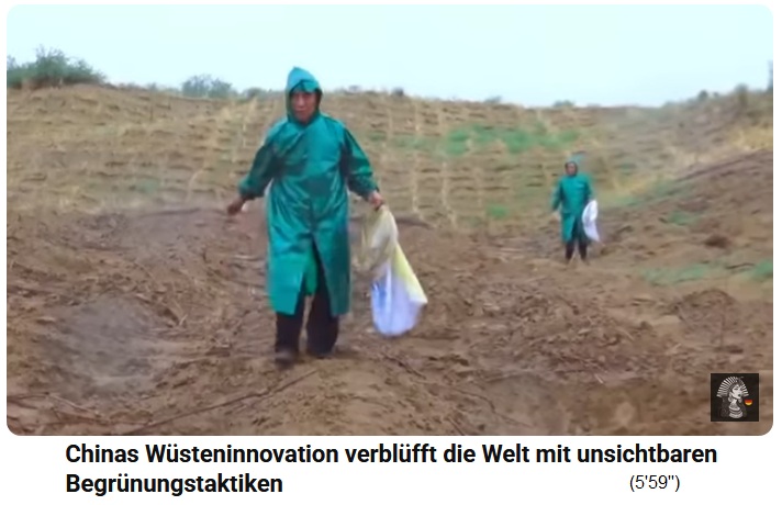 China: Samen
                          werden bei feuchtem Wetter auf Strohgitter
                          ges�t 01