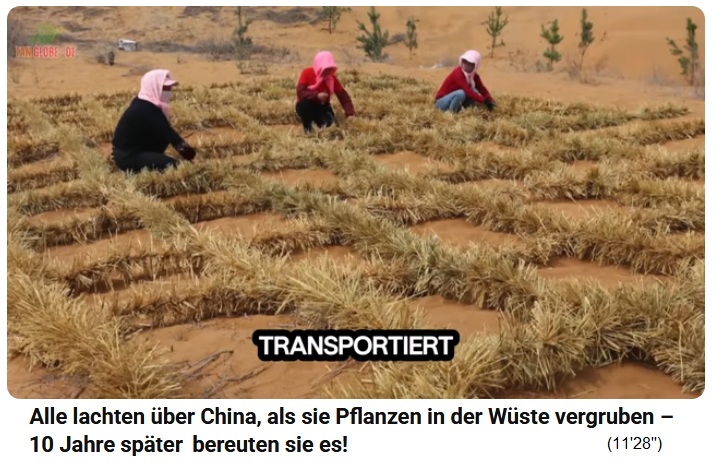 Stroh-Schachbrett, Zoom