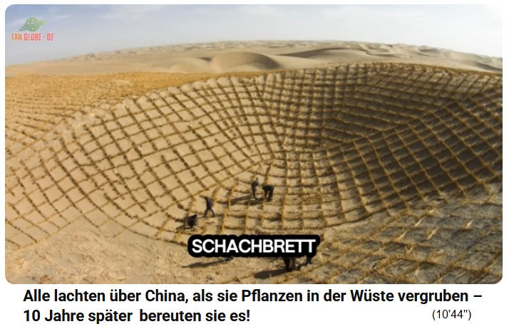 Strohgitter, Stroh-Schachbrett
                    wird auf der W�ste montiert