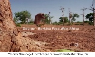 Yacouba Sawadogo in Gourga (Burkina
                    Fasoh) hacking holes into the hard ground for
                    planting trees