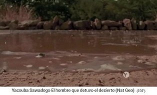 Low
                            stone walls slowing down the runoff of
                            rainwater, method of Yacouba Sawadogo in
                            Gourga, Burkina Faso