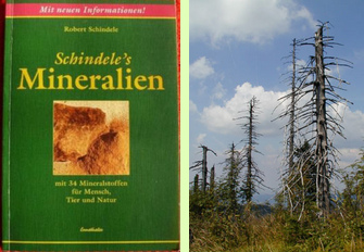 Das Buch "Schindeles
                            Mineralien" schildert die Vorgänge beim
                            Waldsterben