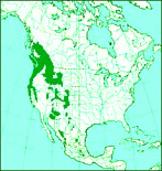 Distribution of
                              Douglas fir in Canada and "USA",
                              map