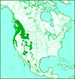 Verbreitungsgebiet
                              der Douglastanne, Karte