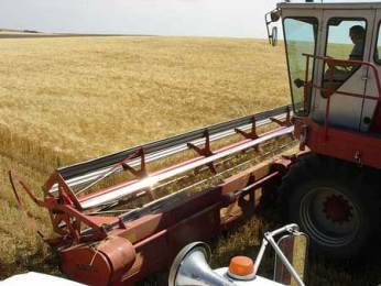 M�hdrescherkabine mit Sicht auf ein
                          weites Feld ohne Hecken