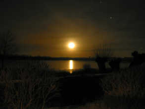Mondschein, z.B. an einem
                            d�nischen Fjord
