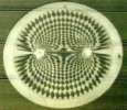 Kornkreis: Magnetfeld - crop circle: magnetic
                    field