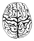 Mandala Gehirn