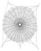 Mandala Spinnennetz
