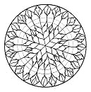 Rosa de fuego en la catedral de
                                Amiens