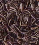 Otra semilla fue pensando que
                            tiene miedo crecer porque hay dificultades
                            en la vida