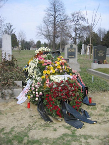 y después la madre murió sin haber
disfrutado nada en su vida. y después la madre
murió sin haber disfrutado nada en su vida.