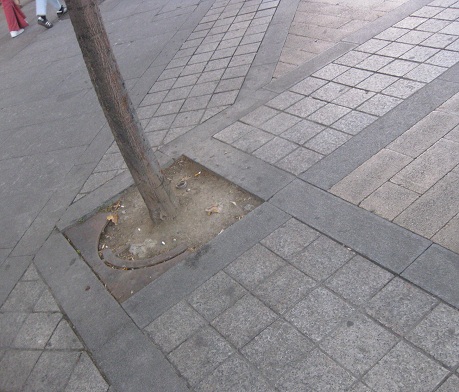 Platzbereich in gelben+grauen Gartensteinen mit
                    dunkelgrauen Granitb�ndern 03, Ecke mit Baum