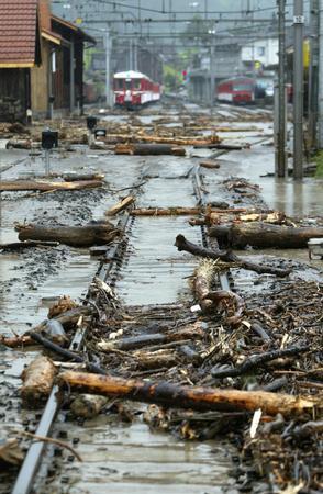 Giswil
(Switzerland): Driftwood on a train station
(August 2005) Giswil (Switzerland): Driftwood
on a train station (August 2005)