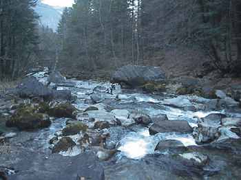 Engelberger Aa river with
rocks as big as man. The disaster at Engelberg
was foreseeable Engelberger Aa river with rocks as big
as man. The disaster at Engelberg was
foreseeable