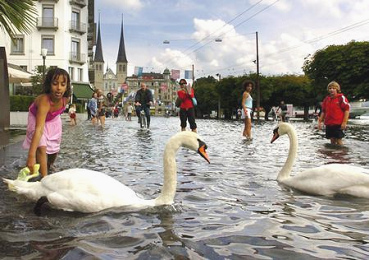 Flood in
Switzerland of 2005 in Lucerne: swans in the
floods at Swiss Court quay (Schweizerhofquai),
in the background the court's church
(Hofkirche) Flood in Switzerland of 2005
in Lucerne: swans in the floods at Swiss Court
quay (Schweizerhofquai), in the background the
court's church (Hofkirche)