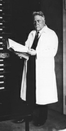 Un jefe criminal: Sr. Ernst R�din, a
                            partir de 1928 en Berl�n en el servicio de
                            una "humanidad elevada" - foto de
                            1936